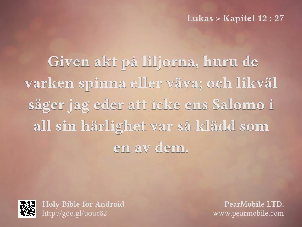 Lukas, Kapitel 12:27
